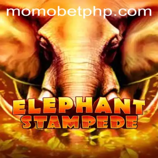 Discovering the Excitement of ElephantStampede with MOMOBET